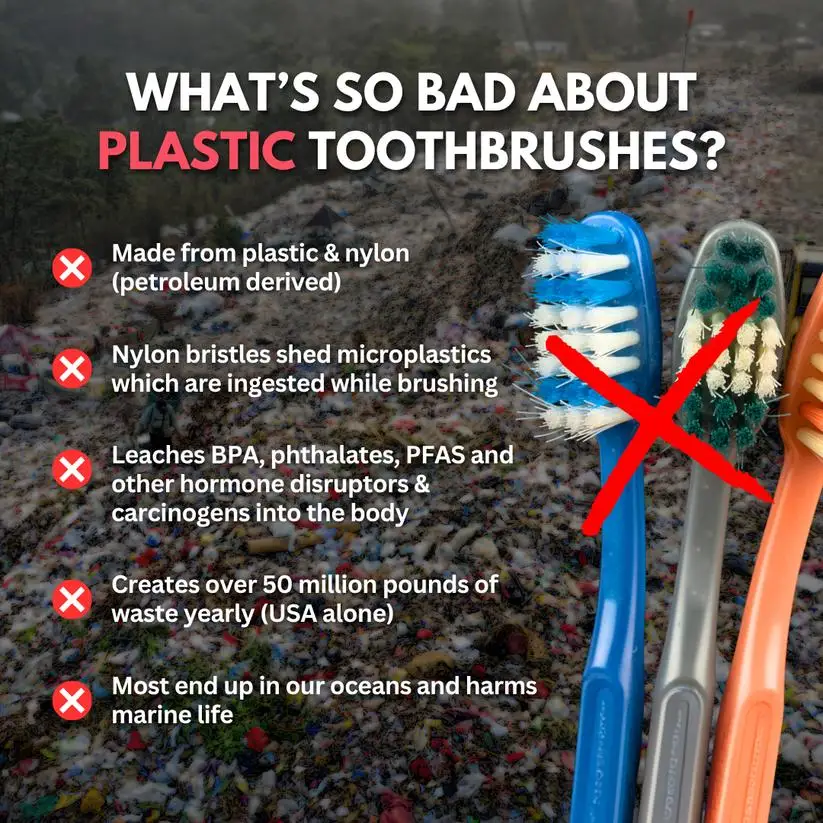 4-delige set premium tandenbor - Bamboo Toothbrush recensie en prijs